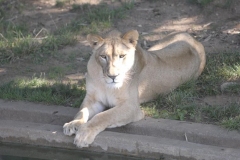dsc3181-s