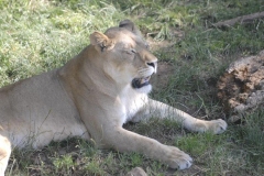dsc3182-s