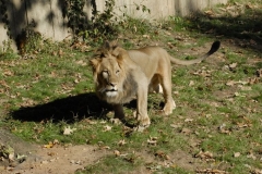 dsc5156