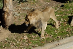 dsc5182