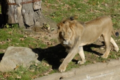 dsc5222