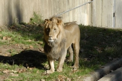 dsc5245