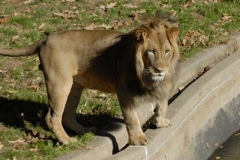dsc5268