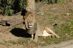 dsc5276