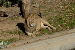 dsc5282