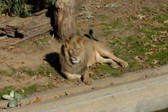 dsc5287