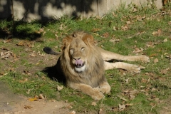 dsc5298