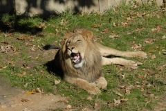 dsc5309