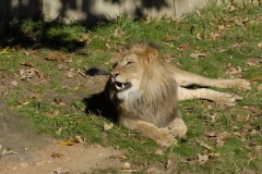 dsc5312