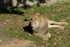 dsc5313