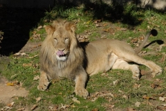 dsc5327