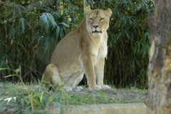 dsc5340