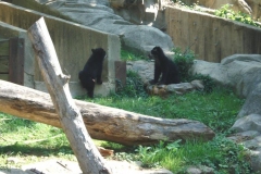 dsc03355-s