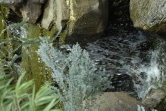 dsc0606