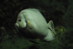 dsc1079