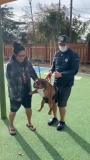 40B252F1-3FA4-49E1-9408-0AF05605F1FF_1_105_c