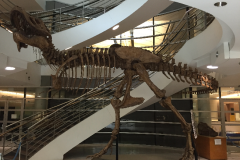 Berkeley-2015-67-of-1378