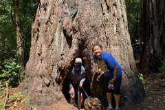 Big-Basin-2020-765-of-1378