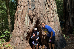 Big-Basin-2020-766-of-1378