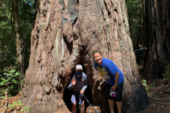 Big-Basin-2020-769-of-1378