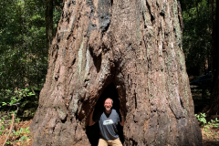 Big-Basin-2020-772-of-1378
