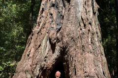 Big-Basin-2020-774-of-1378