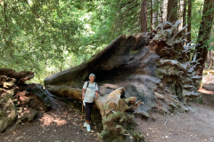 Big-Basin-2020-775-of-1378