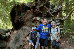 Big-Basin-2020-780-of-1378