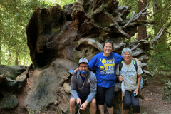 Big-Basin-2020-782-of-1378