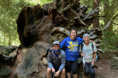 Big-Basin-2020-784-of-1378