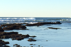 Half-Moon-Bay-2015-73-of-1378