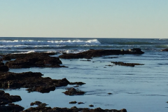 Half-Moon-Bay-2015-74-of-1378