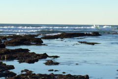 Half-Moon-Bay-2015-75-of-1378