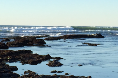 Half-Moon-Bay-2015-76-of-1378