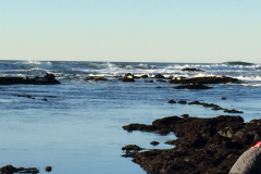 Half-Moon-Bay-2015-77-of-1378