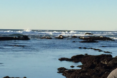 Half-Moon-Bay-2015-78-of-1378