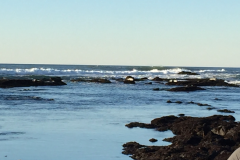 Half-Moon-Bay-2015-79-of-1378