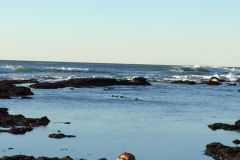 Half-Moon-Bay-2015-81-of-1378