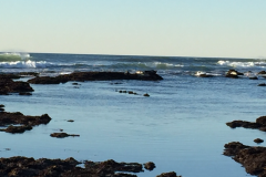 Half-Moon-Bay-2015-82-of-1378