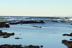 Half-Moon-Bay-2015-83-of-1378