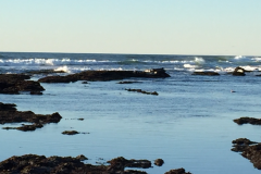 Half-Moon-Bay-2015-84-of-1378