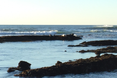 Half-Moon-Bay-2015-85-of-1378