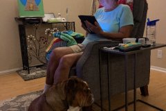 Mountain-View-2020-1041-of-1378