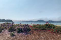 Mountain-View-2020-1058-of-1378