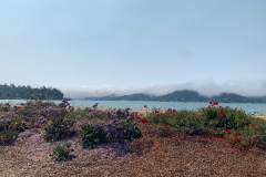 Mountain-View-2020-1059-of-1378