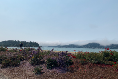 Mountain-View-2020-1061-of-1378