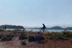 Mountain-View-2020-1062-of-1378