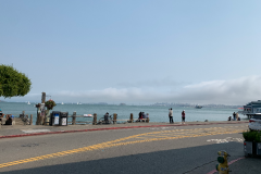 Mountain-View-2020-1077-of-1378