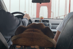 Mountain-View-2020-1080-of-1378