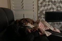 Mountain-View-2020-1091-of-1378